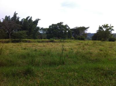 SE VENDE FINCA IDEAL PARA CULTIVOS DE YUCA Y PLATANO 