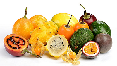 compra y venta de fruta exótica para exportación