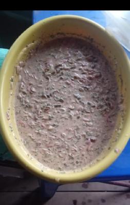 ceviche de concha 